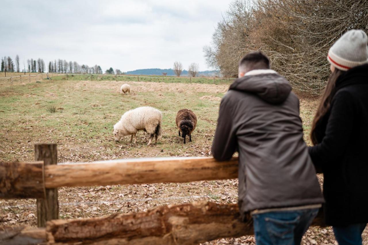 Cottage Breton - Gite De Charme En Centre Finistere Plonévez-du-Faou エクステリア 写真